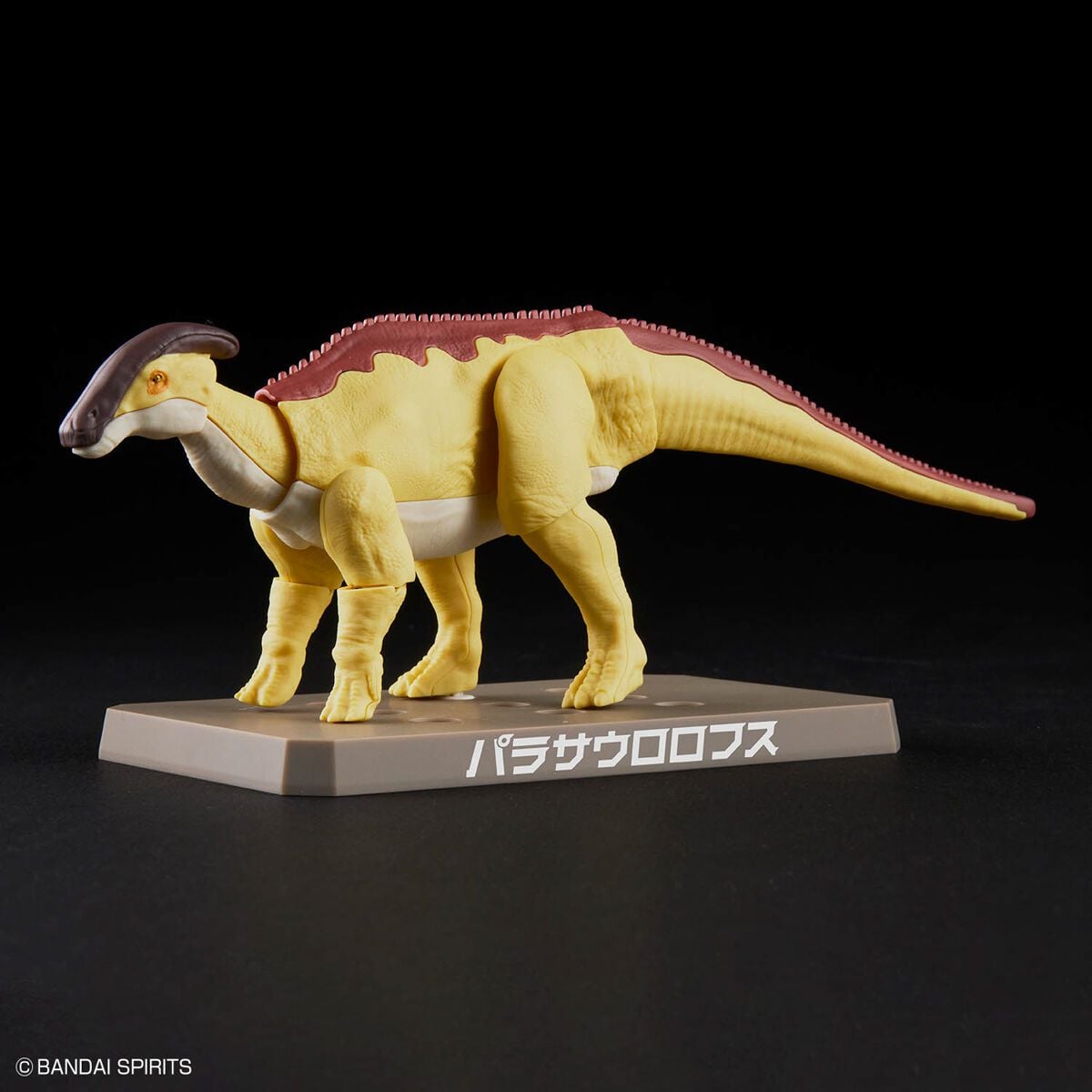 MÔ HÌNH LẮP RÁP KHỦNG LONG PLANNOSAURUS Parasaurolophus Thumbnail