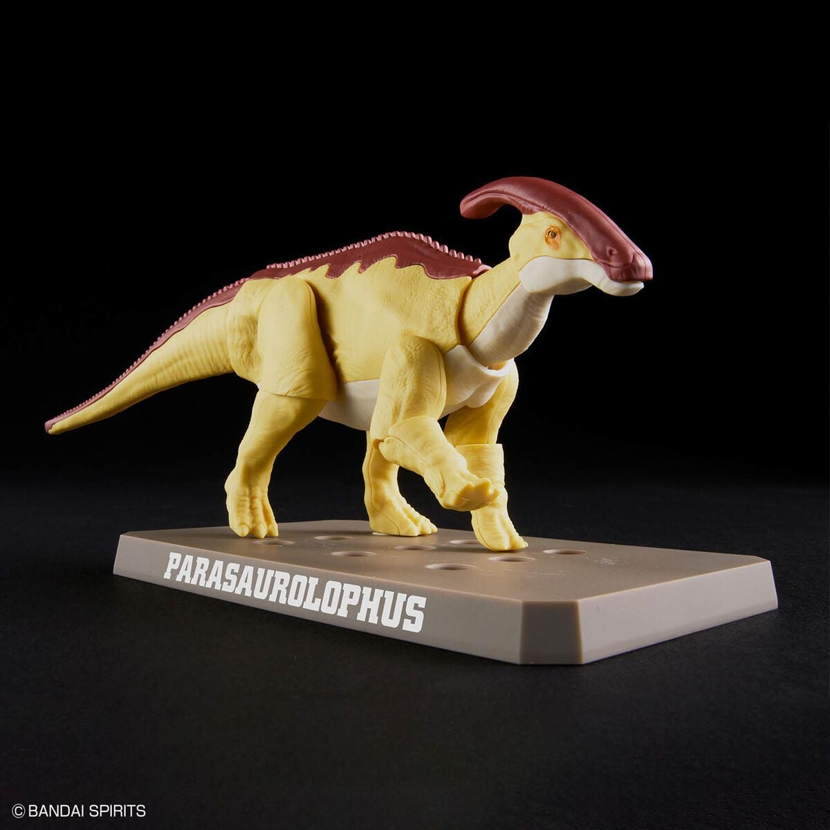 MÔ HÌNH LẮP RÁP KHỦNG LONG PLANNOSAURUS Parasaurolophus Thumbnail