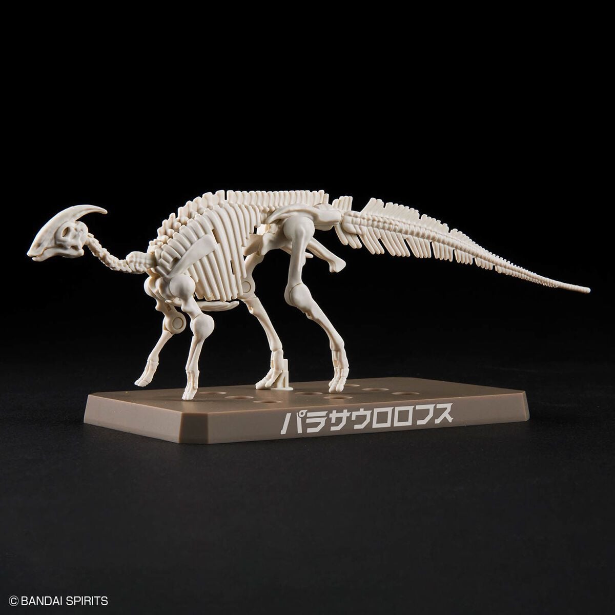 MÔ HÌNH LẮP RÁP KHỦNG LONG PLANNOSAURUS Parasaurolophus Thumbnail